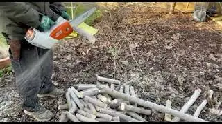 How To Cut Branches with Stihl MSA 161T Chainsaw