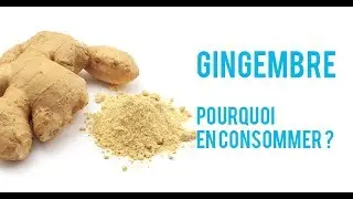 POURQUOI CONSOMMER DU GINGEMBRE QUOTIDIENNEMENT? Par Christophe Carrio