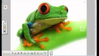 A+ Interactive Software 1 Tutorial: Using the presentation tools