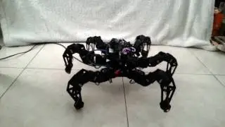 RoboLab's hexapod is tested for stability