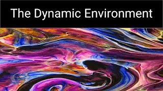 Introduction to the Dynamic Environment