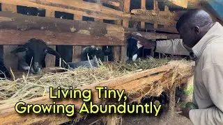 A Mechanical Engineer Retired early to set up a 6-acre Farm With Tiny Houses