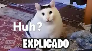 Who is Huh Cat? Explained (subtitles in english)