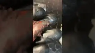 Yamaha bws 100 two stroke Kırılır d&ouml;k&uuml;l&uuml;r tekrardan toplanır 😎