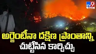 అర్జెంటీనా దక్షిణ ప్రాంతాన్ని చుట్టేసిన కార్చిచ్చు | Massive Wildfire Ravages Southern Argentina-TV9