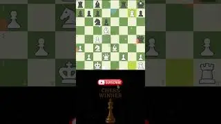 Brilliant Move or Blunder ♟️🔥 | Chess Winner #chess #shorts #checkmate #brilliant