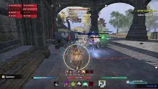 Eso pro emp pvp build