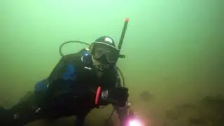 Sturgeon