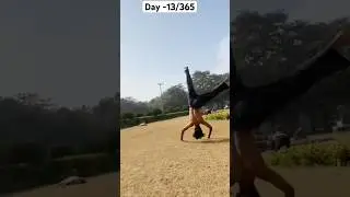 Day -13/365 increase workout levelup
