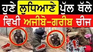 Manukhta Di Sewa! Domoria Pull Ludhiana Car Help Hosting Bhai Gurpeet Ji   - Punjabi TV Canada