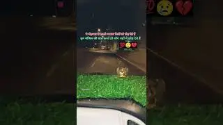 Sad Shayari Status Video #shortvideos #trending #viralvideo #viral #viralshorts #akashvlog #shorts