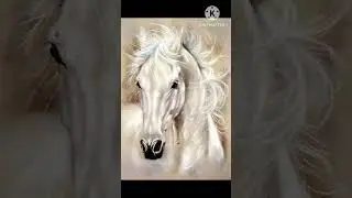 Easy Horse painting ideas