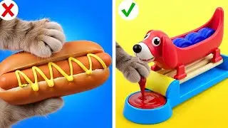 DIY Trend: Handmade Fidget Toys for Cats! 🧶🐾 MeowWowing Gadgets and Hacks!