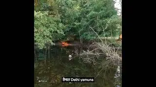 Delhi floods an Institutional failure due to Government negligence