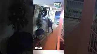 Landlord Comes To Collect The Rent Money