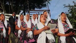 343 SOY LA TRISTE OVEJA, CORO LINAJE DE ABRAHAM IDD LOS LOPEZ, PALESTINA DE LOS ALTOS, 