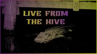 Live from the Hive || American Spook Lights || Vampires in Tartaria || Man-eater: American Alligator