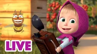 🔴 LIVE 🐻👧 Masha y el Oso 2023 📷😍 Especie de hobby 🎬 Masha and the Bear