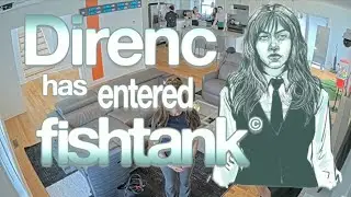 Direnc excitedly enters the fishtank and meets the fish. Fishtank Day 1