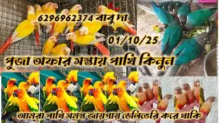 কম দামে পাখি কিনুন,, সান কনুর,, ককাটেল, পাইনাপেল কনুর যোগাযোগ বাবু দা ফোন 6296962374