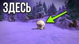 WOW Урсиус из щербозубов. Показываю, где его найти. World of Warcraft #wow #games #вов