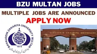 Bahauddin Zakariya University, (BZU) Multan Job 2024 | Urgent Required Part Time Faculty | 23/8/2024
