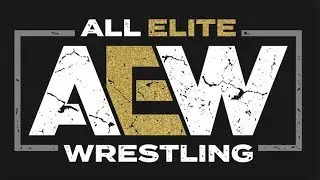 Why All Elite Wrestling (AEW) Will Be Successful