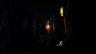 A vigil for Animals victims of human violence 🙏🏼