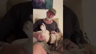 Про мужчин и 