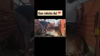 gau raksha dal ।। monu Manesar status।। gau rakshak 🚩🚩 #hindu #hindurashtra