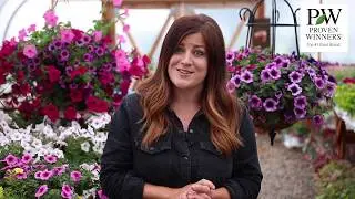 Supertunia&reg; Petunias | Easy, Long-Blooming Annuals by Proven Winners