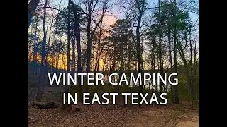 Camping at Tyler State Park