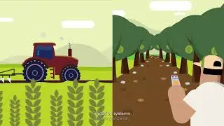 Why Invest in Durian ?
