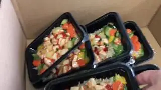 ILPRA SPEEDY Tray Sealer - Skin Packaging for Meal Prep - Ready to Eat Meals