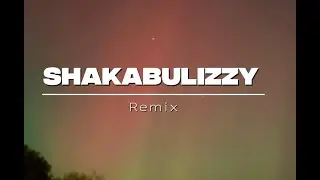 Shakabulizzy Remix Lyrics - Mavo ft Davido