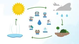 [M&eacute;tier] D&eacute;couvrez les diff&eacute;rents cycles de l'eau avec DLE Ouest - Eiffage Route