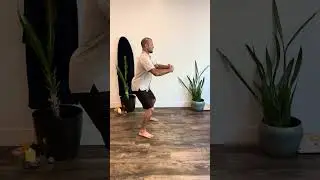 Demo: Spleen 