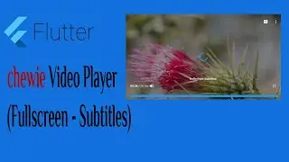 24- Flutter chewie Video Player (Fullscreen - Subtitles)