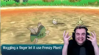 Togepi Uses Frenzy Plant