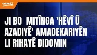 Ayşe Surucu: Ji bo  mit&icirc;nga 'H&ecirc;v&icirc; &ucirc; Azadiy&ecirc;' ya li Amed&ecirc; amadekariy&ecirc;n li Rihay&ecirc; didomin