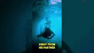 Arrested For Killing His Dive Partner