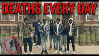 Chicago Mega Gang War 70+ Dead (051 vs O&rsquo;Block vs MOB and More)