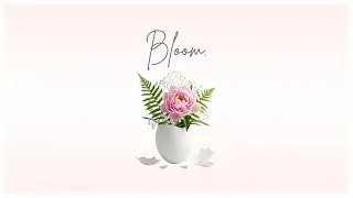 Bloom. | Laidback Relaxing Chill Music