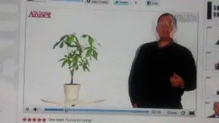 Introduction to Domain Name Investing