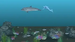 Over 100 new marine species found around Bermuda