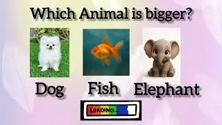 Fun Logical Questions Quiz for Kids | Brain Teasers & Riddles for Kids | Quiz Time🐥