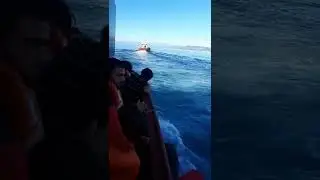 USA donkey  boat // Canada life //#2numbri