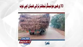 Public Issues Across Sindh: Accidents, Protests and Tragic Deaths