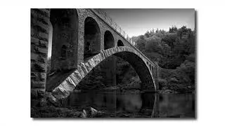 InfraSTRUCTUREs in Nature: Bridges