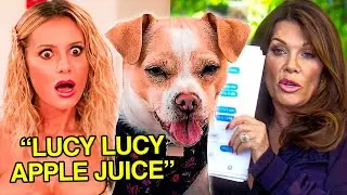 Real Housewives CAUGHT In A LIE About Infamous Puppygate